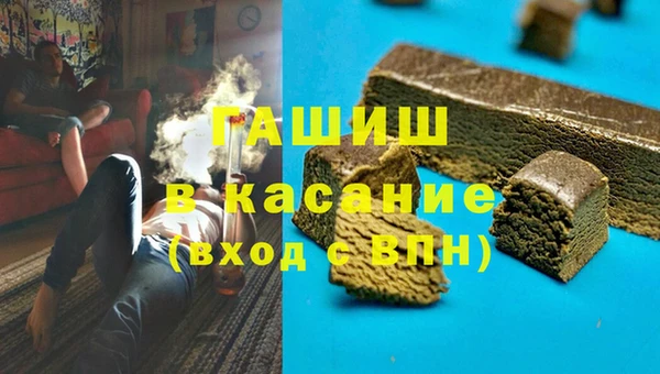 дмт Богданович